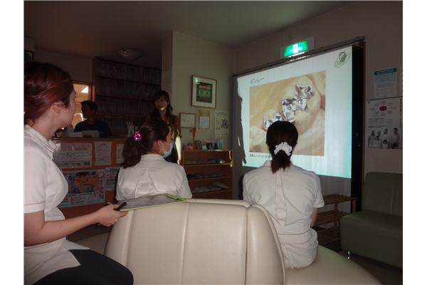 DSC00466_blog.jpg