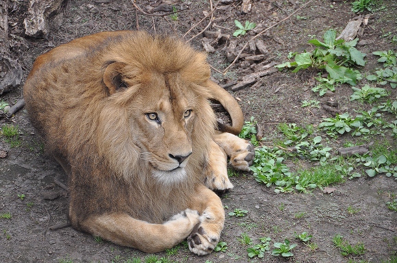 DSC_5294.JPG